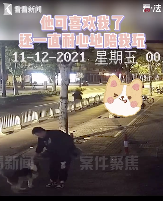 狗狗偷跑急坏主人 警察蜀黍神速找回休闲区蓝鸢梦想 - Www.slyday.coM 狗狗偷跑急坏主人 警察蜀黍神速找回休闲区蓝鸢梦想 - Www.slyday.coM