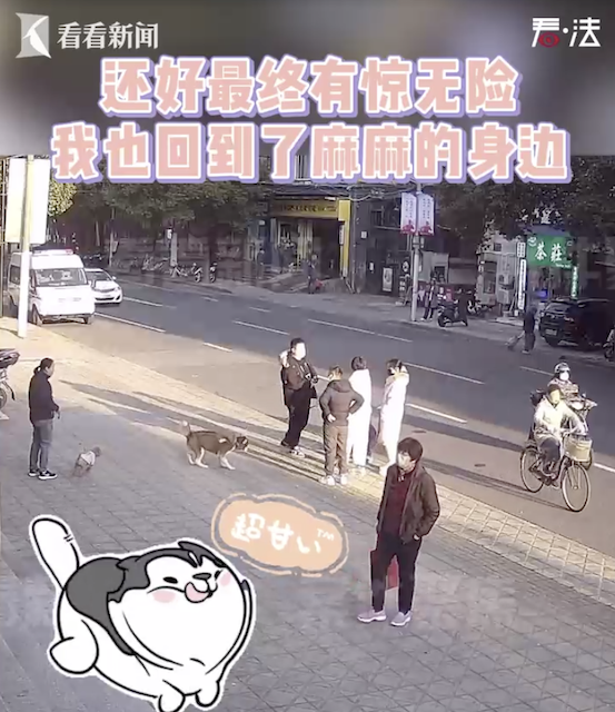 狗狗偷跑急坏主人 警察蜀黍神速找回休闲区蓝鸢梦想 - Www.slyday.coM 狗狗偷跑急坏主人 警察蜀黍神速找回休闲区蓝鸢梦想 - Www.slyday.coM