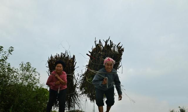在农村,你有过上山砍柴的经历吗?遇见过害怕的事吗?