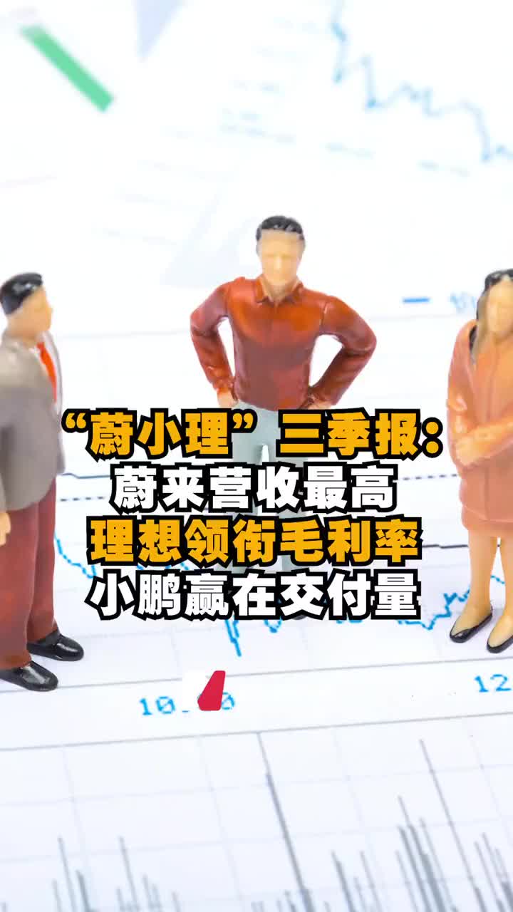 “蔚小理”三季报