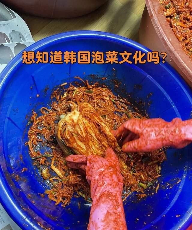 越冬囤泡菜,每年12月必做,<a href=