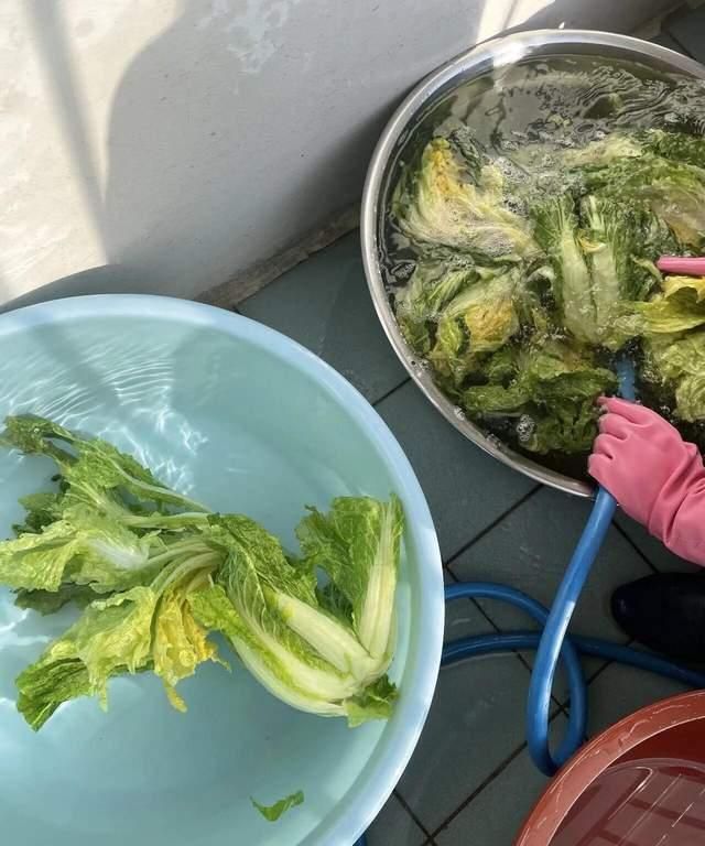 越冬囤泡菜,每年12月必做,<a href=