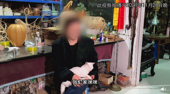 剧组被质疑虐杀猫,《当家主母》晒出猫视频并称已报案休闲区蓝鸢梦想 - Www.slyday.coM 剧组被质疑虐杀猫,《当家主母》晒出猫视频并称已报案休闲区蓝鸢梦想 - Www.slyday.coM