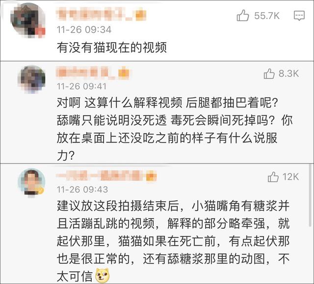 剧组被质疑虐杀猫,《当家主母》晒出猫视频并称已报案休闲区蓝鸢梦想 - Www.slyday.coM 剧组被质疑虐杀猫,《当家主母》晒出猫视频并称已报案休闲区蓝鸢梦想 - Www.slyday.coM