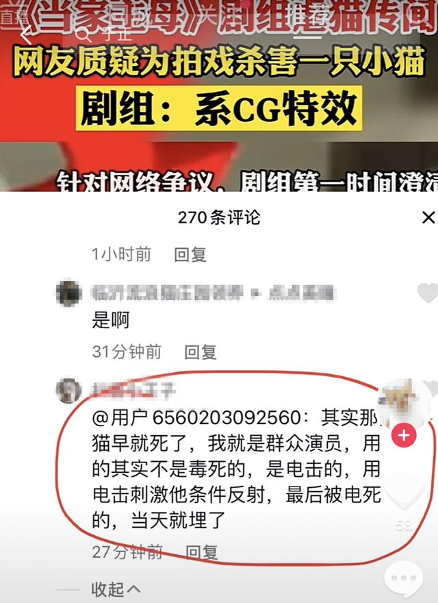 剧组被质疑虐杀猫,《当家主母》晒出猫视频并称已报案休闲区蓝鸢梦想 - Www.slyday.coM 剧组被质疑虐杀猫,《当家主母》晒出猫视频并称已报案休闲区蓝鸢梦想 - Www.slyday.coM