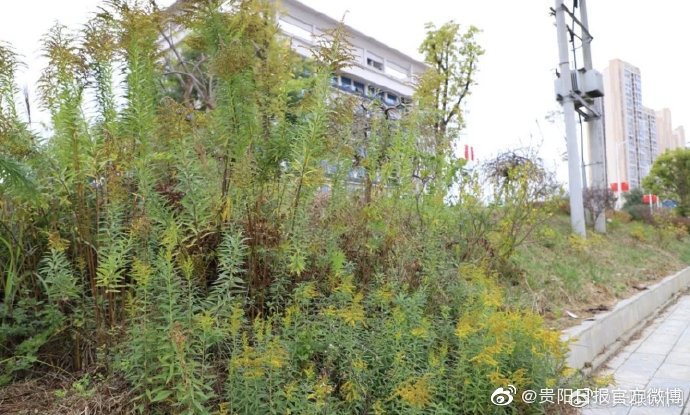 注意！毕节发现<a href=