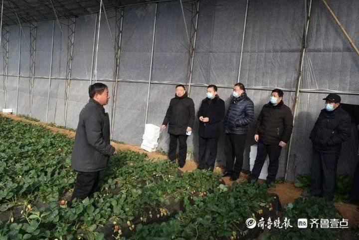 镇人大主席孙宗信就视察工作进行总结:通过查看现场
