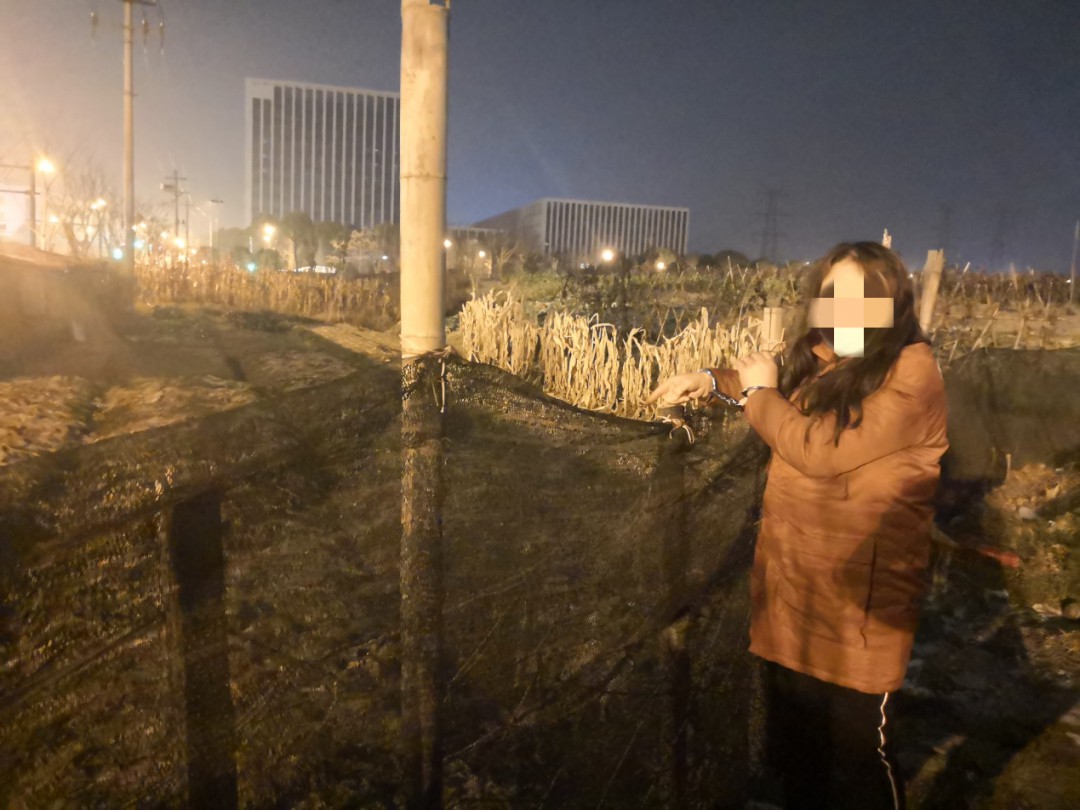 女子上演现实版“偷菜”,一夜连偷600斤,找到时大白菜已经变成了“酸菜”休闲区蓝鸢梦想 - Www.slyday.coM 女子上演现实版“偷菜”,一夜连偷600斤,找到时大白菜已经变成了“酸菜”休闲区蓝鸢梦想 - Www.slyday.coM