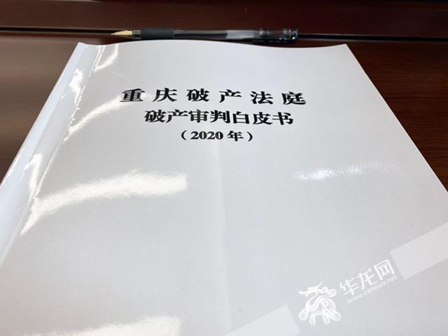 重庆破产法庭破产审判白皮书。华龙网-新重庆客户端记者 李袅 摄