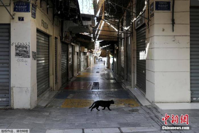 当地时间2020年11月7日,希腊雅典,一只猫在空荡的商业街上漫步。