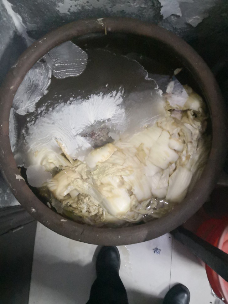 女子上演现实版“偷菜”,一夜连偷600斤,找到时大白菜已经变成了“酸菜”休闲区蓝鸢梦想 - Www.slyday.coM 女子上演现实版“偷菜”,一夜连偷600斤,找到时大白菜已经变成了“酸菜”休闲区蓝鸢梦想 - Www.slyday.coM