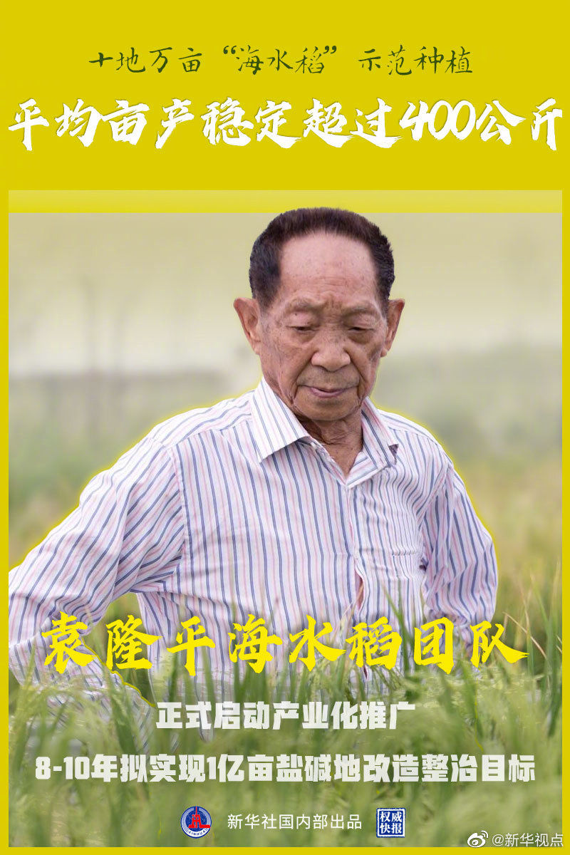 袁隆平团队:10万亩"海水稻"示范种植平均亩产稳定超过