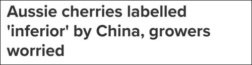第九电视网报道截图
