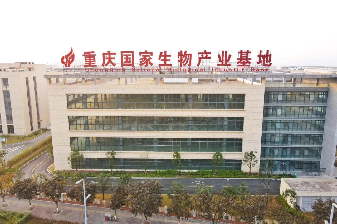 位于西部(重庆)科学城的重庆国度生物家当基地。邹乐 摄