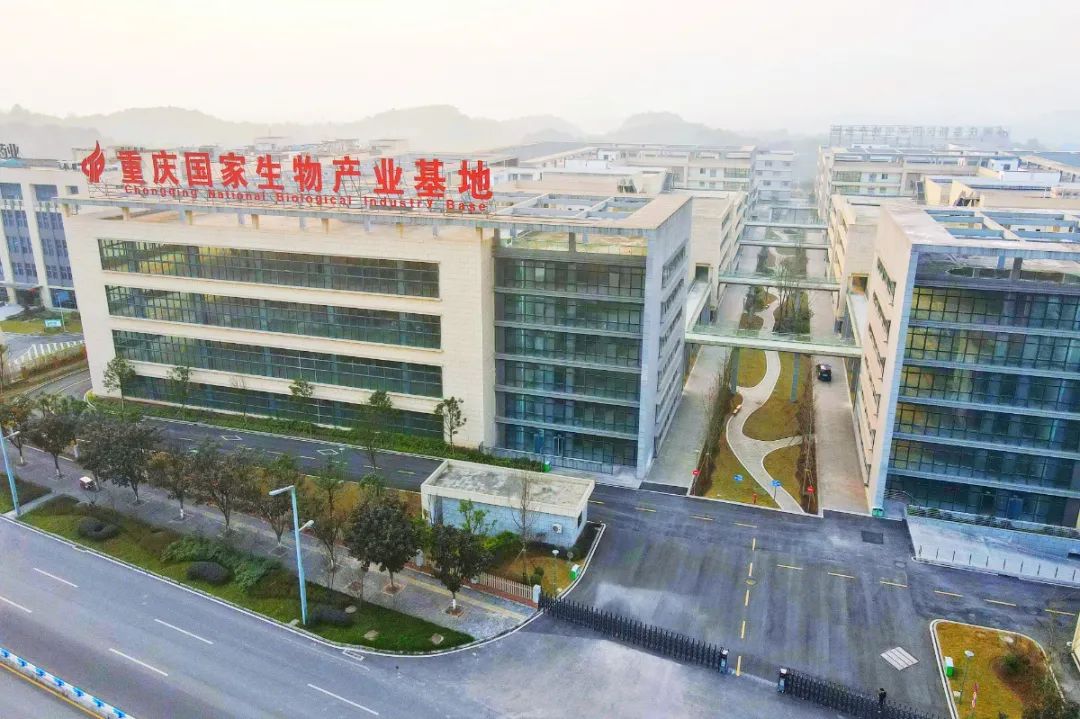 位于西部(重庆)科学城的重庆国度生物家当基地。邹乐 摄