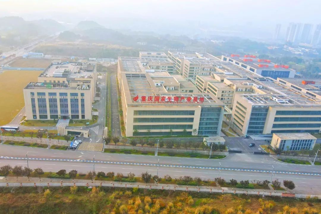 位于西部(重庆)科学城的重庆国度生物家当基地。邹乐 摄