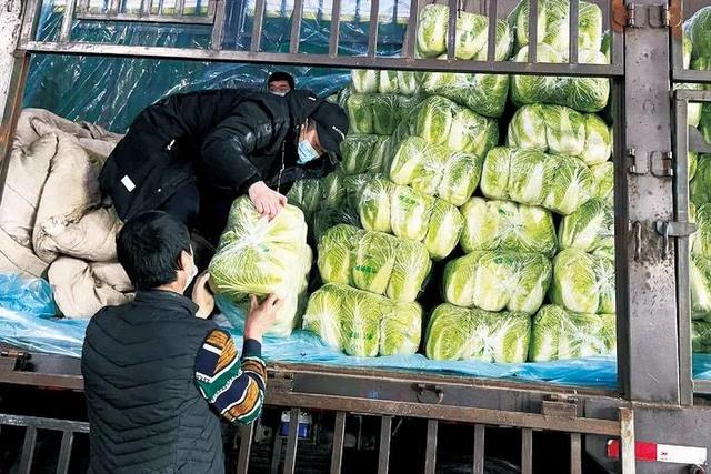 亚泰超市配货车全天候为7家门店运送大白菜等消费需求较大的蔬菜。 毕馨月 摄