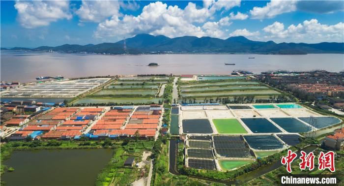 舟山桃花人口_明日方舟山(3)