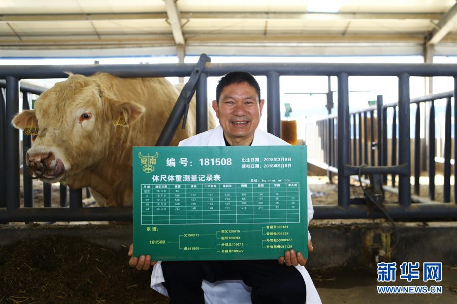 泌阳gdp_厉害!大泌阳这些重要数据全线飘红