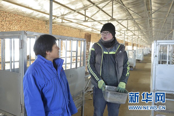 寇启芳(左)在宁夏吴忠市红寺堡区红寺堡镇城东养殖园区内向科研人员了解试验进度(1月7日摄)。新华社记者 唐如峰 摄