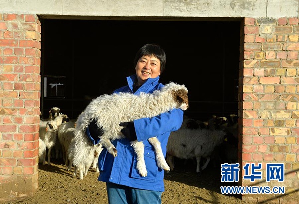 在宁夏吴忠市红寺堡区红寺堡镇城东养殖园区,寇启芳与一只小羊羔合影(1月7日摄)。新华社记者 唐如峰 摄