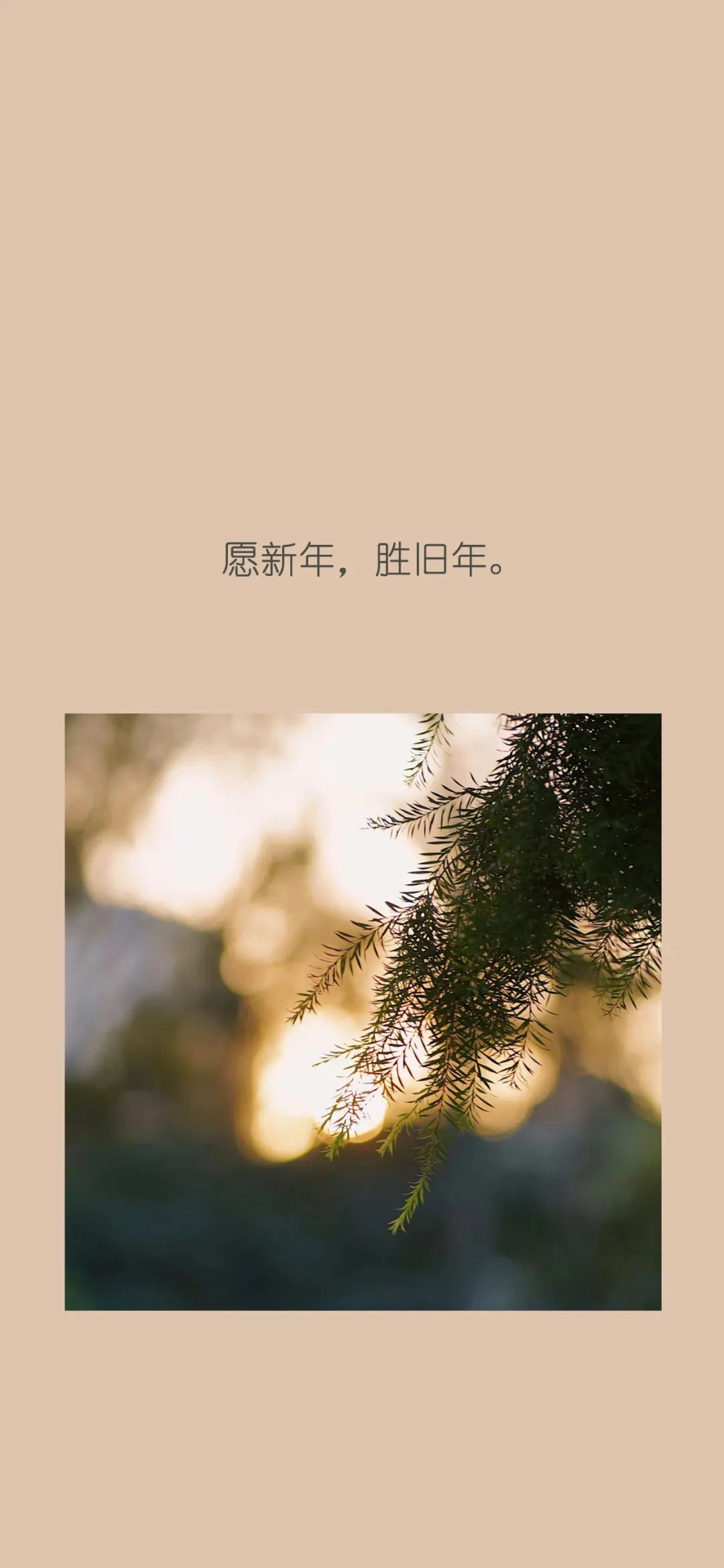 图片2021新图片累,图片2021新图片心累 2020你或许经历了很多没有人知道的黯淡日子,一定很累吧,但是在2021