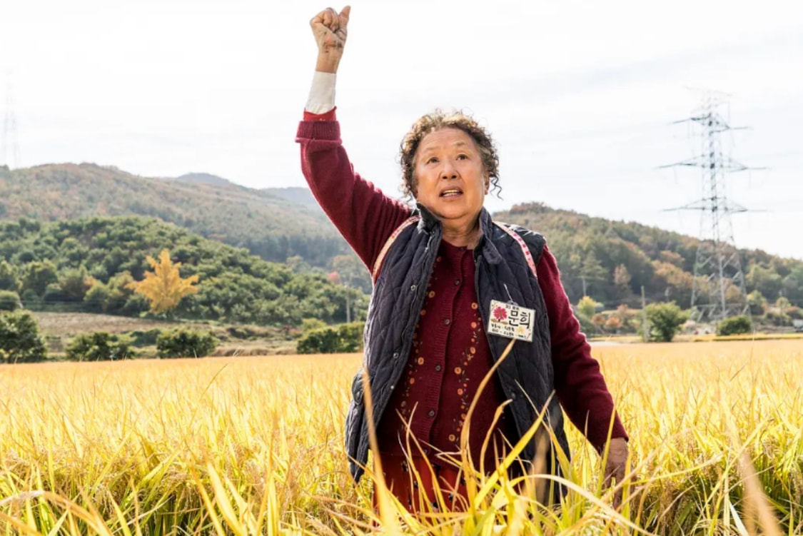 限韩令解封？时隔6年<a href=