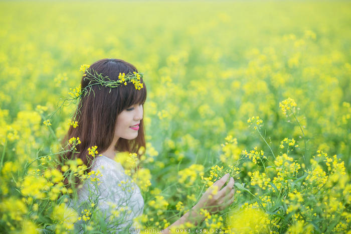 阳光助力，花开正好，越南年末最美的七个赏花地