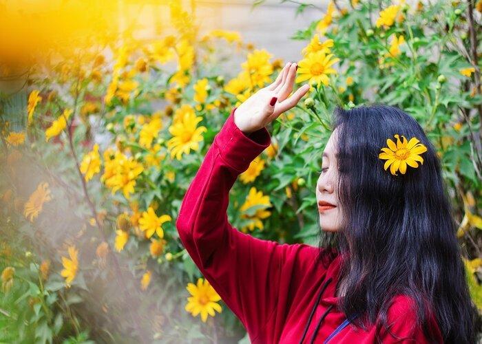 阳光助力,花开正好,越南年末最美的七个赏花地