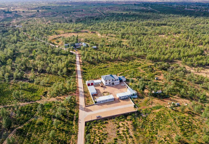 干掉千年沙漠，种出8个<a href=