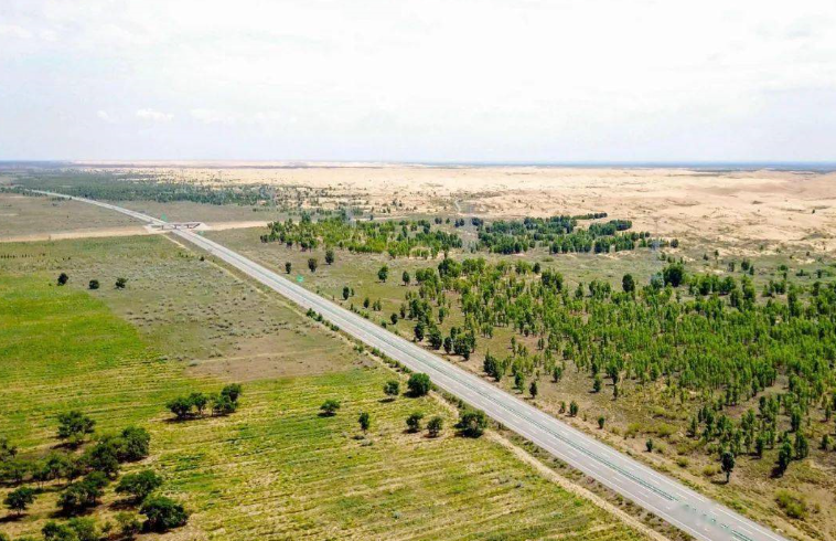 干掉千年沙漠，种出8个<a href=