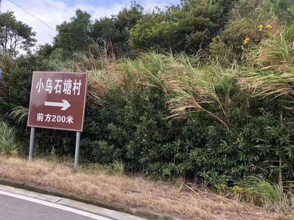 失联摄影师“鹿道森”确认离世 好友唏嘘:失联当天拒收了母亲给他的生日红包休闲区蓝鸢梦想 - Www.slyday.coM 失联摄影师“鹿道森”确认离世 好友唏嘘:失联当天拒收了母亲给他的生日红包休闲区蓝鸢梦想 - Www.slyday.coM