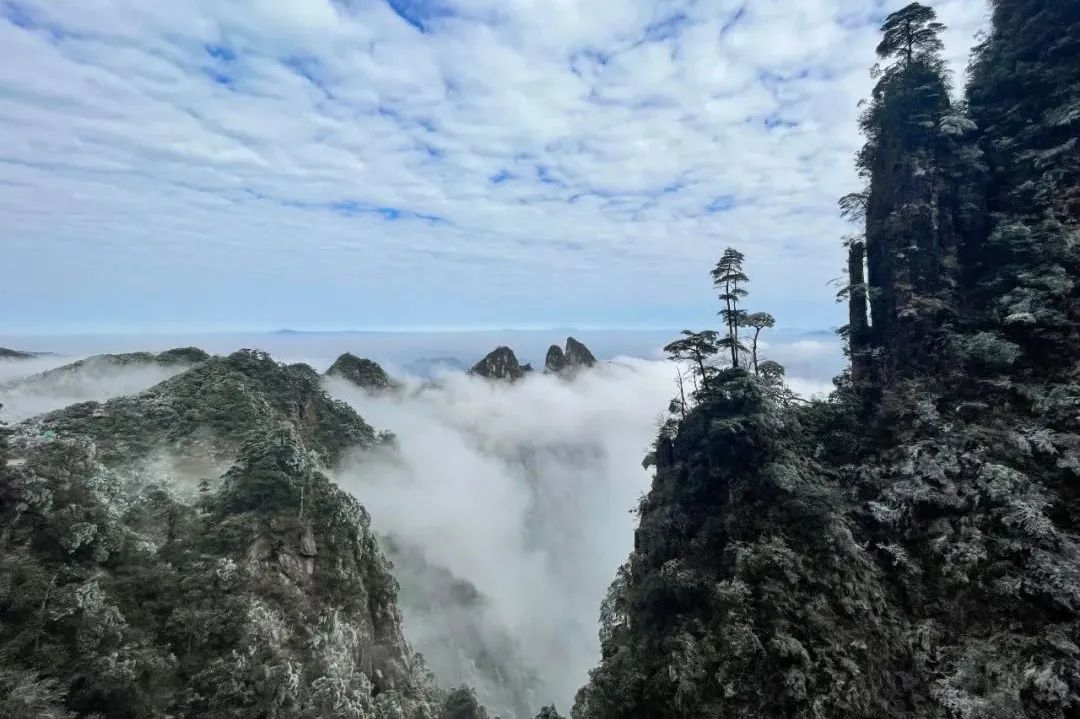 莽山五指峰景区将实行淡季门票价格!冬季来这里看雾凇