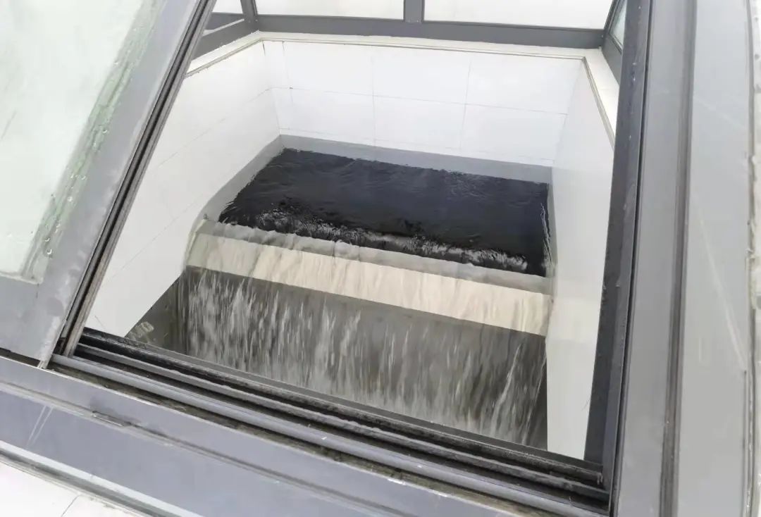 关于奥密克戎变异株的问题,权威解答来了! 每天出水量44万m³,大幅提升南片地区水质! 保温杯泡这些,小心喝出病!休闲区蓝鸢梦想 - Www.slyday.coM 关于奥密克戎变异株的问题,权威解答来了! 每天出水量44万m³,大幅提升南片地区水质! 保温杯泡这些,小心喝出病!休闲区蓝鸢梦想 - Www.slyday.coM