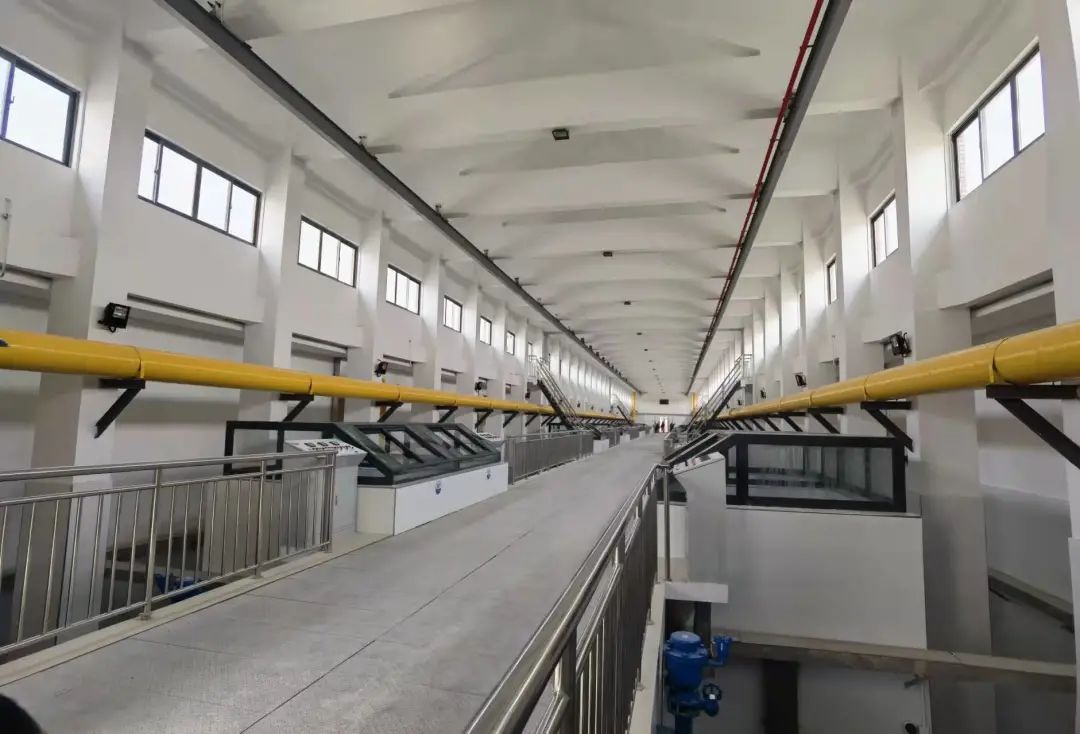 关于奥密克戎变异株的问题,权威解答来了! 每天出水量44万m³,大幅提升南片地区水质! 保温杯泡这些,小心喝出病!休闲区蓝鸢梦想 - Www.slyday.coM 关于奥密克戎变异株的问题,权威解答来了! 每天出水量44万m³,大幅提升南片地区水质! 保温杯泡这些,小心喝出病!休闲区蓝鸢梦想 - Www.slyday.coM