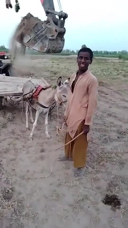 驴我那在生产队的大哥都不敢这么拉