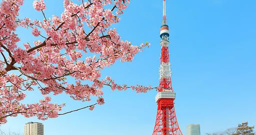对于日本首都东京的东京铁塔,作为整个日本的地标性建筑,命名的时候就