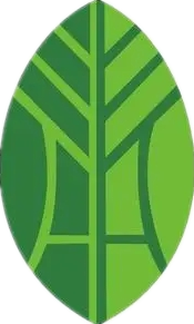 河东区青联委员多种方式积极学习党的十九届六中全会精神休闲区蓝鸢梦想 - Www.slyday.coM 河东区青联委员多种方式积极学习党的十九届六中全会精神休闲区蓝鸢梦想 - Www.slyday.coM