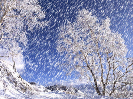 悦读当诗词遇上冬雪