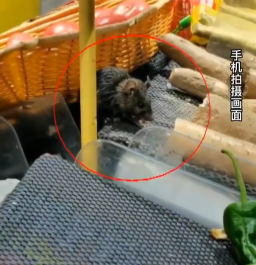 3年多被罚11次!上海一家乐福惊现老鼠,官方最新回应!休闲区蓝鸢梦想 - Www.slyday.coM 3年多被罚11次!上海一家乐福惊现老鼠,官方最新回应!休闲区蓝鸢梦想 - Www.slyday.coM