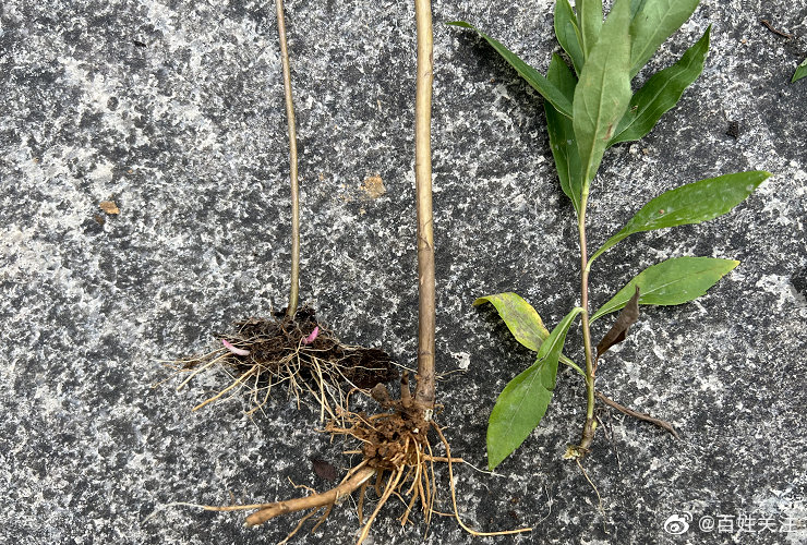 贵阳发现<a href=