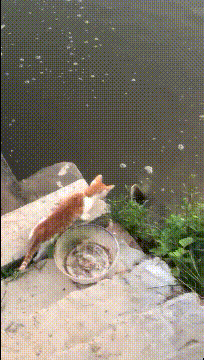 每日一笑:妹子屁股卡马桶,求救消防,真是大型社死现场!休闲区蓝鸢梦想 - Www.slyday.coM 每日一笑:妹子屁股卡马桶,求救消防,真是大型社死现场!休闲区蓝鸢梦想 - Www.slyday.coM