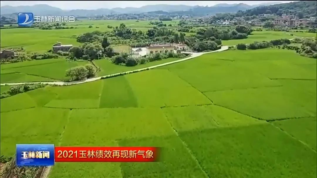 玉林:推进生态文明建设 迈出绿色发展新步伐休闲区蓝鸢梦想 - Www.slyday.coM 玉林:推进生态文明建设 迈出绿色发展新步伐休闲区蓝鸢梦想 - Www.slyday.coM