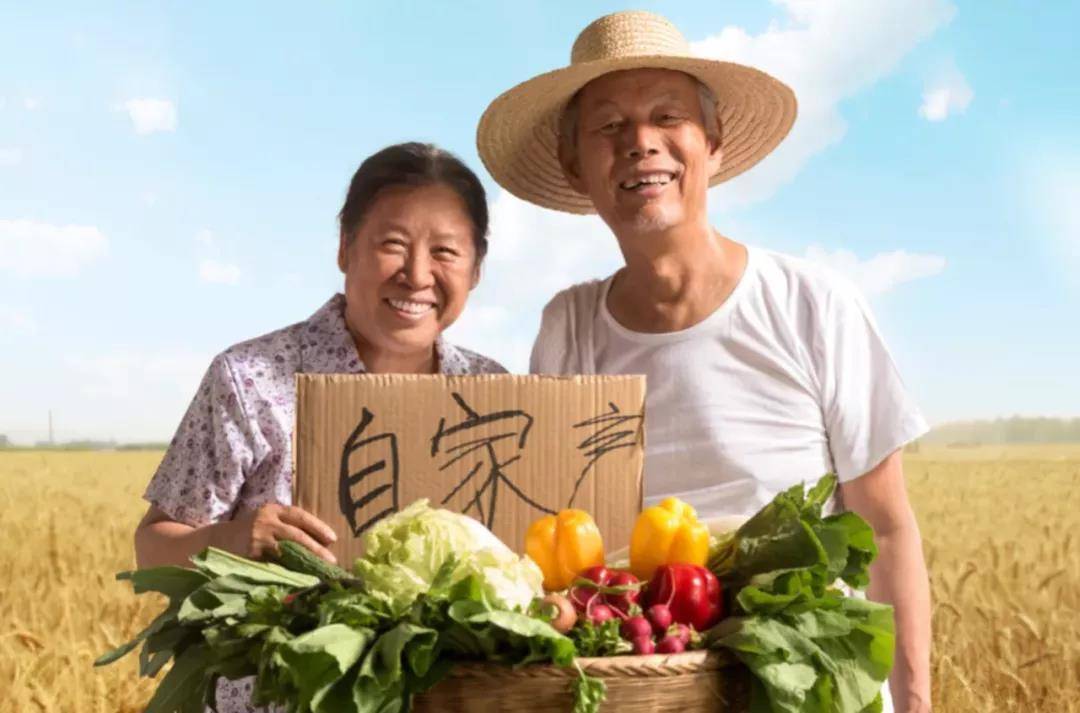 这是中国之治的“密码”!休闲区蓝鸢梦想 - Www.slyday.coM 这是中国之治的“密码”!休闲区蓝鸢梦想 - Www.slyday.coM