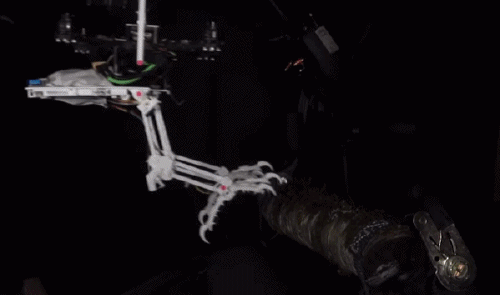 活体机器人实现自我繁殖?不就是搓了个丸子吗!休闲区蓝鸢梦想 - Www.slyday.coM 活体机器人实现自我繁殖?不就是搓了个丸子吗!休闲区蓝鸢梦想 - Www.slyday.coM