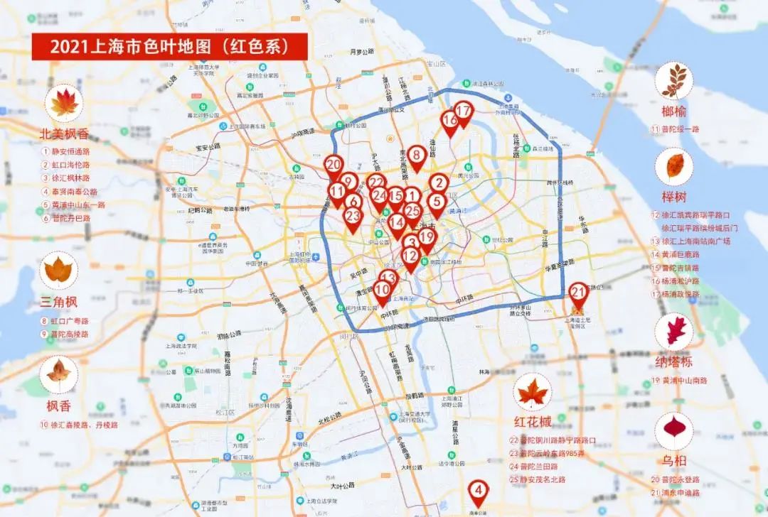伊犁路,黄金城道徐汇慈云街浦东陆家嘴东路,世纪大道,迪士尼奇妙路
