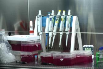 内蒙古新增本土确诊病例30例休闲区蓝鸢梦想 - Www.slyday.coM 内蒙古新增本土确诊病例30例休闲区蓝鸢梦想 - Www.slyday.coM