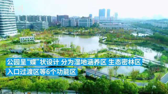 家门口的湿地公园上海古美这座近10万平方米的公园开放啦