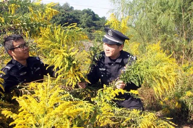 全国围剿“<a href=