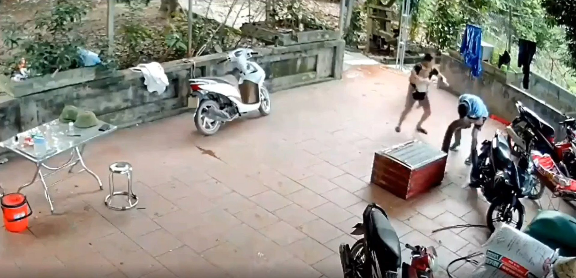 越南男子开箱被巨蟒咬住脸,为何说是自作孽?如何应对巨蟒袭击?